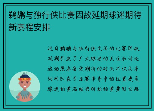 鹈鹕与独行侠比赛因故延期球迷期待新赛程安排